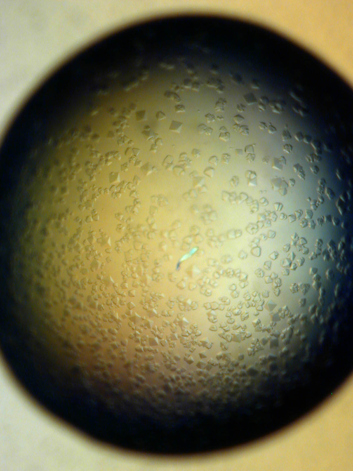 Protein crystallization result without microseeding