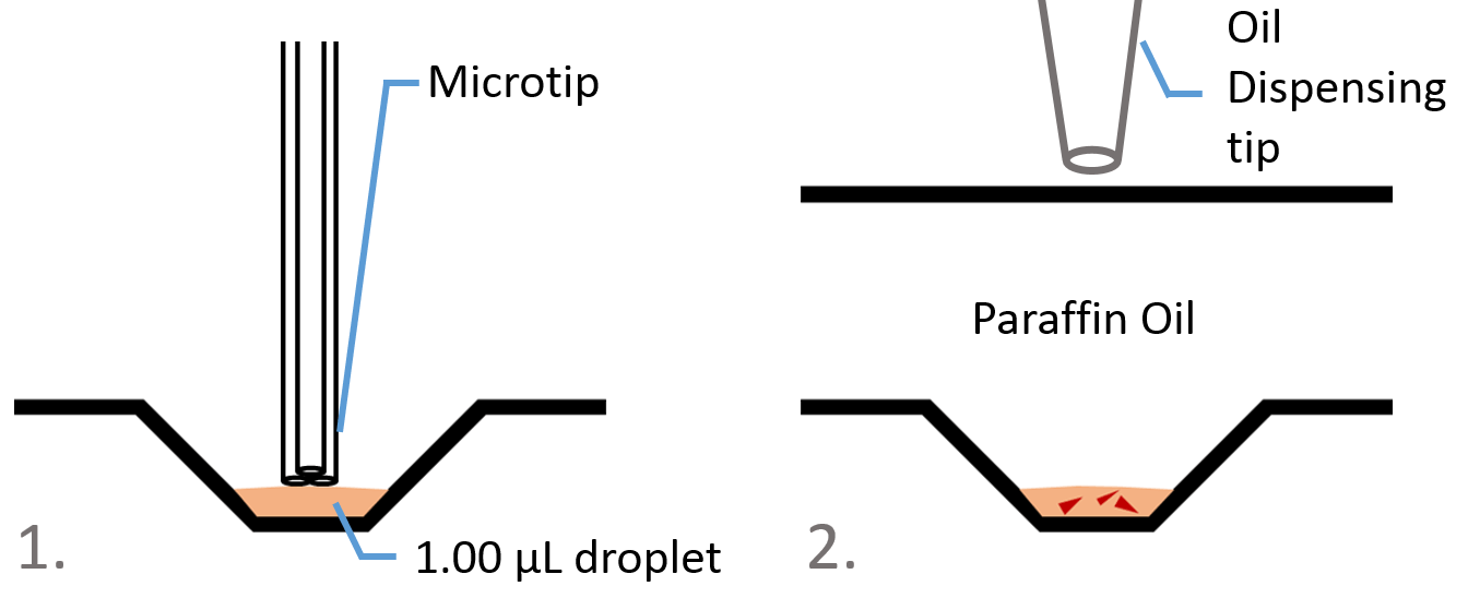 Microbatch-under-oil crystallization microtip dispensing protein crystallization drops
